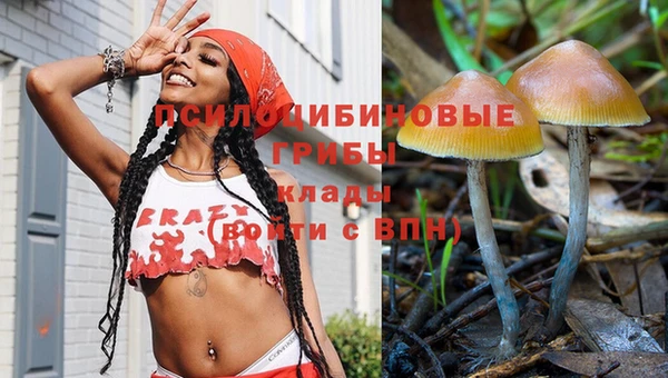 мяу мяу кристалл Коряжма