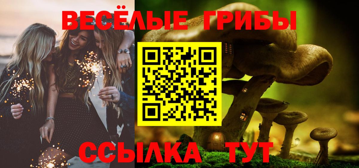 Псилоцибиновые грибы GOLDEN TEACHER Мелеуз